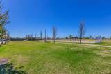 7217 Willow Thorne Drive - Photo 19