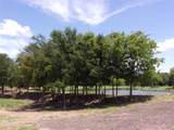4058 Vista Oak Drive - Photo 6