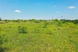 556 Acres 281 Highway - Photo 12