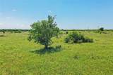 556 Acres 281 Highway - Photo 13
