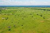 556 Acres 281 Highway - Photo 5