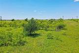 556 Acres 281 Highway - Photo 7
