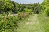 91 Acres Co Rd 370 - Photo 10