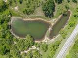 91 Acres Co Rd 370 - Photo 21