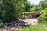 91 Acres Co Rd 370 - Photo 4