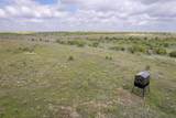 821 P.R. 4901 - Photo 11