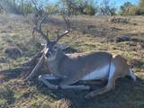 360 County Road 199 - Photo 2