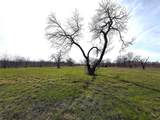 8437 Edgewater Drive - Photo 3