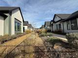 3135 Winter Rose Way - Photo 4