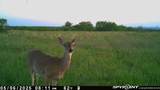 1838 County Road 343 - Photo 2