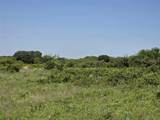 1000 County Road 375 - Photo 31