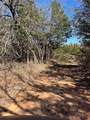 TBD County Rd 108 - Photo 9