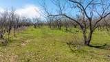 3445 County Road 337 - Photo 26