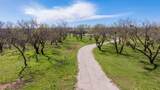 3445 County Road 337 - Photo 34