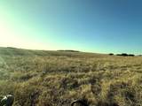 TBD County Road 224 - Photo 10