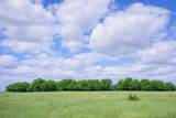 TBD County Road 224 - Photo 13