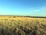 TBD County Road 224 - Photo 9