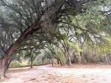 120 Bessie Crow Road - Photo 5