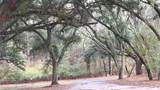 120 Bessie Crow Road - Photo 6
