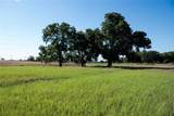 2160 County Road 4371 - Photo 2