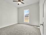 12409 Bella Perdono Drive - Photo 13