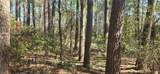 8300 Trophy Point - Photo 10