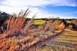 697 Pasadera Circle - Photo 8
