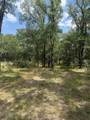 1741 Elm Lake Road - Photo 2