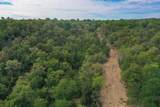55 Acres Fm 61 - Photo 11
