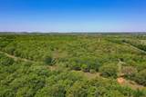 55 Acres Fm 61 - Photo 14