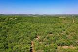 55 Acres Fm 61 - Photo 15