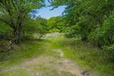 55 Acres Fm 61 - Photo 16