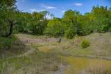 55 Acres Fm 61 - Photo 17