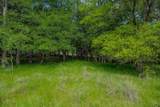 55 Acres Fm 61 - Photo 18