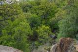 55 Acres Fm 61 - Photo 20