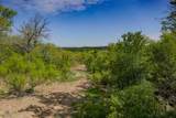 55 Acres Fm 61 - Photo 21