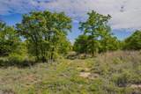 55 Acres Fm 61 - Photo 23