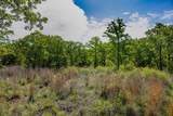 55 Acres Fm 61 - Photo 24