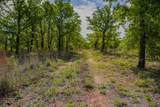 55 Acres Fm 61 - Photo 25