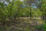 55 Acres Fm 61 - Photo 26