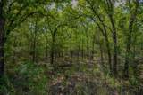 55 Acres Fm 61 - Photo 28