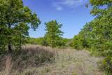 55 Acres Fm 61 - Photo 29
