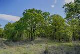 55 Acres Fm 61 - Photo 30