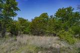 55 Acres Fm 61 - Photo 31