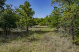 55 Acres Fm 61 - Photo 32