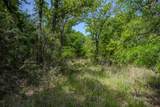 55 Acres Fm 61 - Photo 34