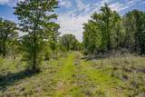 55 Acres Fm 61 - Photo 36