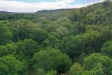 55 Acres Fm 61 - Photo 9