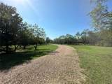 261 Vickie Lane - Photo 32