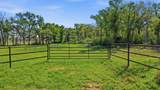 1005 Carter Lane - Photo 1